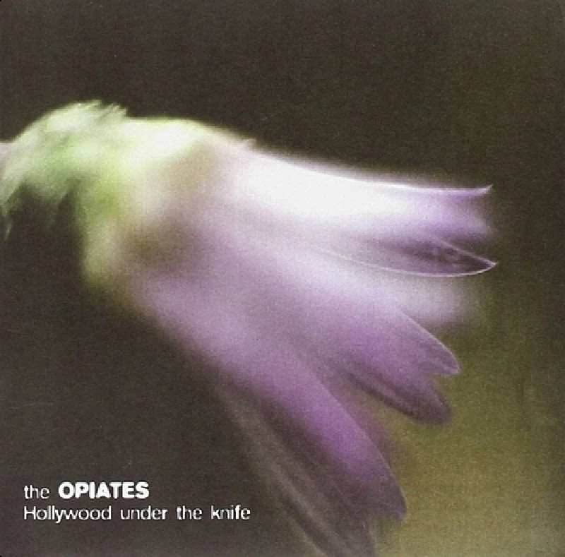 Opiates - Hollywood Under the Knife