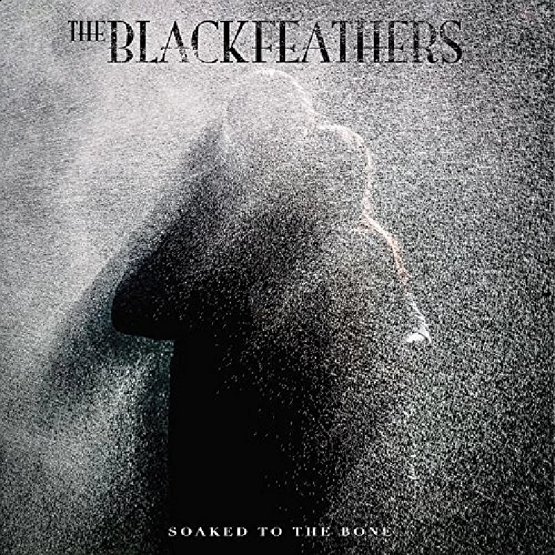 Black Feathers - Soaked to the Bone