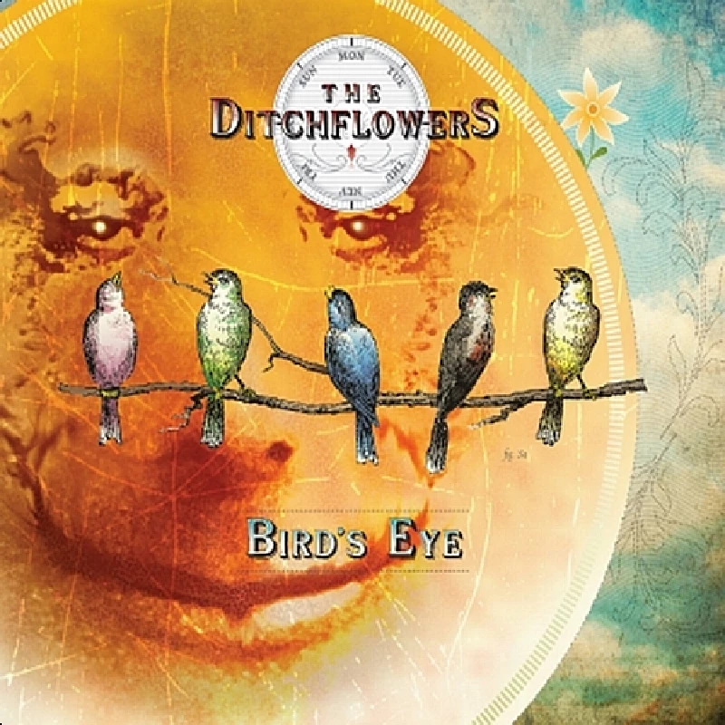 Ditchflowers - Bird's Eye