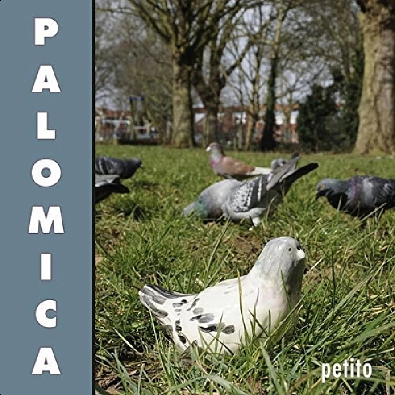 Palomica - Petito