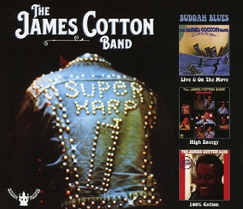 James Cotton Band - Buddah Blues