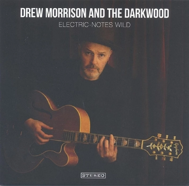Drew Morrison and the Darkwood - Electric-Notes Wild