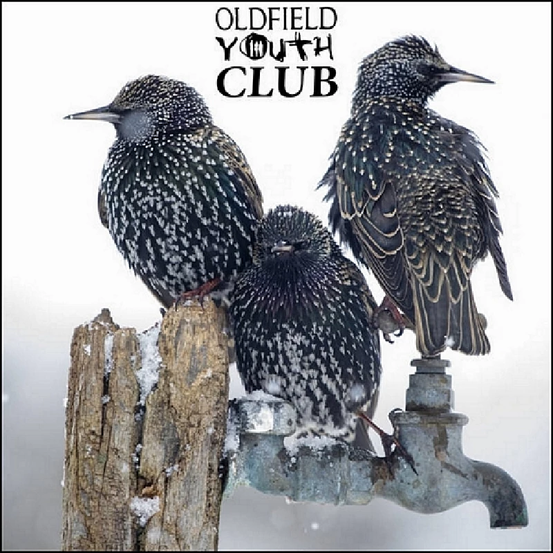 Oldfield Youth Club - A Kind of Loving in a Loveless Town